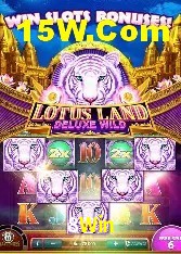 Promoção Relâmpago 8Win